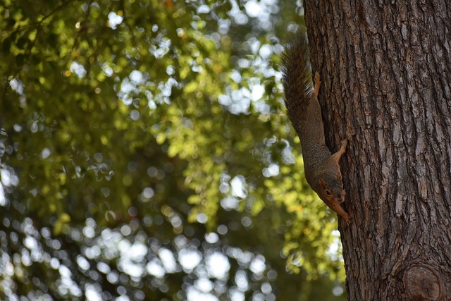 这就需要伦 这就需要伦