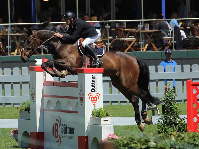 贝克汉姆 贝克汉姆