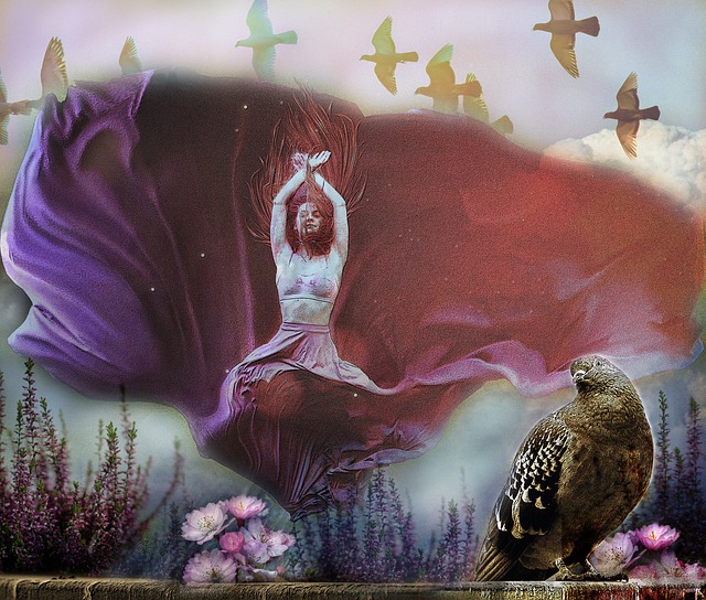 他快速成长 他快速成长